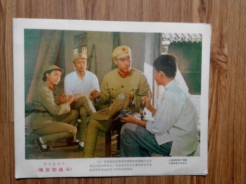 新西兰diploma